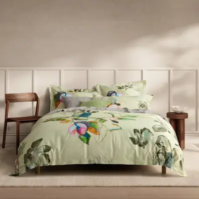 Sheridan Dallery Celery Quilt Cover Set with Fitted Sheet